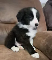 processed/0321642b-a1fe-41b0-a530-aad549af0776/listing/a0abaf27-13ab-465f-a355-dba40ec43d22/c40b6d28-9694-41f8-9836-e322149af4d5