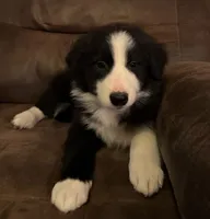 processed/0321642b-a1fe-41b0-a530-aad549af0776/listing/a0abaf27-13ab-465f-a355-dba40ec43d22/e38307bb-c5f6-4144-bfe0-278a5a83314e