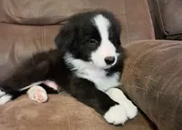 processed/0321642b-a1fe-41b0-a530-aad549af0776/listing/a0abaf27-13ab-465f-a355-dba40ec43d22/f9735d08-ba8a-4bab-96ea-4d38b9ab9c30