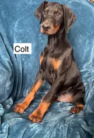 processed/0322c2bf-3375-4fa4-89c3-3c5de185e80f/listing/16daf39d-ca2d-4343-90db-9b4495ed6313/80b15819-6c70-479b-b22c-252ca2e341fb