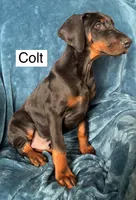 processed/0322c2bf-3375-4fa4-89c3-3c5de185e80f/listing/16daf39d-ca2d-4343-90db-9b4495ed6313/94e09e12-09cf-42be-b4bc-110be90acccf