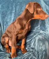 processed/0322c2bf-3375-4fa4-89c3-3c5de185e80f/listing/25e74e8c-84a4-459b-a043-a0207485b95b/876e4a9b-a618-4e26-a585-d42820f39fab