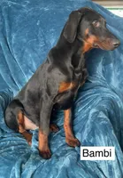 processed/0322c2bf-3375-4fa4-89c3-3c5de185e80f/listing/c06dde98-6d28-42fe-aa32-781d6cf8da60/b5380ca3-648f-4199-ad46-2762f1fbcfd9