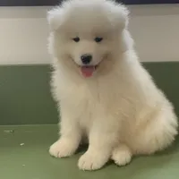 processed/0324d444-1cd6-48d8-95d5-d65157b5bdd9/facility/150826ff-fadb-48c0-9c26-331b9a515cc4