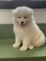 processed/0324d444-1cd6-48d8-95d5-d65157b5bdd9/facility/150826ff-fadb-48c0-9c26-331b9a515cc4