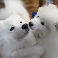 processed/0324d444-1cd6-48d8-95d5-d65157b5bdd9/facility/6db53c84-daab-4926-b458-48f256b7777f