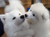 processed/0324d444-1cd6-48d8-95d5-d65157b5bdd9/facility/6db53c84-daab-4926-b458-48f256b7777f