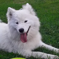 processed/0324d444-1cd6-48d8-95d5-d65157b5bdd9/facility/888145b7-2802-4e4b-93f2-ff816582d095