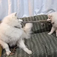 processed/0324d444-1cd6-48d8-95d5-d65157b5bdd9/facility/a421c95b-9d1f-4eb5-88ae-a87fdcf764f4