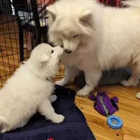 processed/0324d444-1cd6-48d8-95d5-d65157b5bdd9/facility/a47c43dc-f96f-41a5-888b-23aa49ea5a49