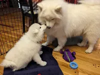 processed/0324d444-1cd6-48d8-95d5-d65157b5bdd9/facility/a47c43dc-f96f-41a5-888b-23aa49ea5a49