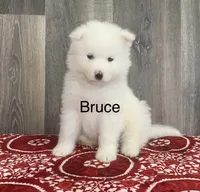 processed/0324d444-1cd6-48d8-95d5-d65157b5bdd9/listing/396256d3-f037-451b-ad35-0f23f4dd61d9/5f86a4a5-8084-4b5e-b8d7-50f8f8865c20