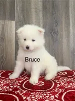 processed/0324d444-1cd6-48d8-95d5-d65157b5bdd9/listing/396256d3-f037-451b-ad35-0f23f4dd61d9/9cf8d0b2-a585-4a90-8fa0-8c59a94b4d98