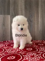 processed/0324d444-1cd6-48d8-95d5-d65157b5bdd9/listing/876e473b-f9bb-44ce-8546-896d942efaf0/f6709bf2-4587-4a79-a13b-563ff876b7f9