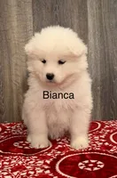 processed/0324d444-1cd6-48d8-95d5-d65157b5bdd9/listing/b7d665ea-5c3e-45df-9758-a8680fdaaffd/c8bcf301-45e6-47a1-ab79-22c13606b7db