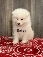 processed/0324d444-1cd6-48d8-95d5-d65157b5bdd9/listing/c86d42d3-7a45-41ba-8e9e-03b7c2f79d14/fec0bdaa-cf6f-4c47-94bd-cbdee5c57476