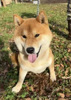 processed/0329485c-7556-41f2-8863-b27a4f2ede31/listing/0fdfe1a8-8676-49ca-a5e1-fb38f47504df/aca2307d-f1e2-4c4f-a3f9-69fbe6d21301