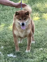 processed/0329485c-7556-41f2-8863-b27a4f2ede31/listing/138b6d14-ff9e-48f7-a5fe-927410371e3a/38d3b631-50b3-4875-b559-ec973c4db3ce