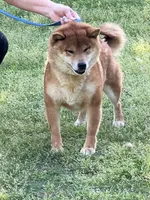 processed/0329485c-7556-41f2-8863-b27a4f2ede31/listing/138b6d14-ff9e-48f7-a5fe-927410371e3a/438ccd4c-fd91-4cee-b793-00f9281edc8b