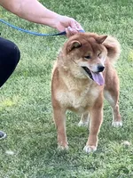 processed/0329485c-7556-41f2-8863-b27a4f2ede31/listing/138b6d14-ff9e-48f7-a5fe-927410371e3a/7fb9fcfa-62d3-414d-ab75-8632e15eaff6