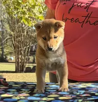 processed/0329485c-7556-41f2-8863-b27a4f2ede31/listing/1acd9cfa-0fc9-4d7d-a6c4-682528a79d4a/1c55ac1a-538a-4fdd-ba71-0e6754be5770