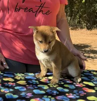 processed/0329485c-7556-41f2-8863-b27a4f2ede31/listing/1acd9cfa-0fc9-4d7d-a6c4-682528a79d4a/366f030e-bc2c-4503-8f17-516e53473927