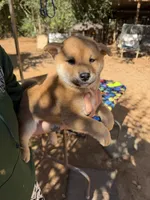 processed/0329485c-7556-41f2-8863-b27a4f2ede31/listing/1acd9cfa-0fc9-4d7d-a6c4-682528a79d4a/9858cb72-f7bc-42a0-9795-2473d1f4c28b