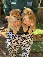 processed/0329485c-7556-41f2-8863-b27a4f2ede31/listing/1acd9cfa-0fc9-4d7d-a6c4-682528a79d4a/a767ee80-14a7-4315-9dbc-ad370518e21d