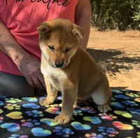 processed/0329485c-7556-41f2-8863-b27a4f2ede31/listing/1acd9cfa-0fc9-4d7d-a6c4-682528a79d4a/c439b322-2f33-468a-bdab-0a93a38b1c1d