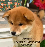 processed/0329485c-7556-41f2-8863-b27a4f2ede31/listing/2225cd38-0a79-4771-bbca-f2cd1b742c53/0211e940-c461-45ad-b9a0-a94865bedee4