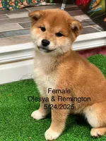 processed/0329485c-7556-41f2-8863-b27a4f2ede31/listing/2225cd38-0a79-4771-bbca-f2cd1b742c53/176bc3c9-390f-4d0b-a2a9-9106978fb0f2