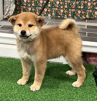 processed/0329485c-7556-41f2-8863-b27a4f2ede31/listing/2225cd38-0a79-4771-bbca-f2cd1b742c53/6b5fe45b-b81d-4f54-8756-e555593f9fa6