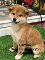 processed/0329485c-7556-41f2-8863-b27a4f2ede31/listing/2225cd38-0a79-4771-bbca-f2cd1b742c53/80b014cd-a3b7-4009-9a7c-684010bf5b64