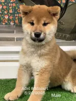 processed/0329485c-7556-41f2-8863-b27a4f2ede31/listing/2225cd38-0a79-4771-bbca-f2cd1b742c53/8fd5c12a-69b9-45a9-a69b-83e89bd05966