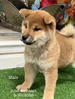 processed/0329485c-7556-41f2-8863-b27a4f2ede31/listing/2225cd38-0a79-4771-bbca-f2cd1b742c53/d8f6197f-bac2-4db9-b369-8a66ca6fce28