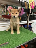 processed/0329485c-7556-41f2-8863-b27a4f2ede31/listing/6e7dc2ca-d9aa-4916-8beb-725d39ef72f1/af450b29-1ee4-4a04-ac3b-099338ce8d55