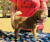 processed/0329485c-7556-41f2-8863-b27a4f2ede31/listing/89ced1b0-dfab-4393-b8f7-caa1918f7366/4586710e-4ec1-41a9-9692-17fba474b1a5