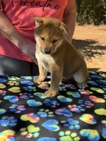 processed/0329485c-7556-41f2-8863-b27a4f2ede31/listing/89ced1b0-dfab-4393-b8f7-caa1918f7366/80863216-7858-4307-9dcf-d52b99ad1ec9