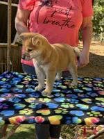 processed/0329485c-7556-41f2-8863-b27a4f2ede31/listing/cdee20ee-69f2-42c2-aaf3-71ac98abe40a/4db80964-2388-4dba-b227-7575939ca856