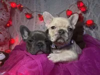 processed/032e589d-85ed-4a4c-84c1-513778847f61/facility/318a3c93-9583-484f-8546-3e8eba2a559b