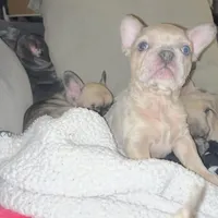 processed/032e589d-85ed-4a4c-84c1-513778847f61/facility/faff27f6-f82d-4a02-b5b8-46d7fdce4dcd