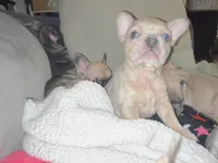 processed/032e589d-85ed-4a4c-84c1-513778847f61/facility/faff27f6-f82d-4a02-b5b8-46d7fdce4dcd