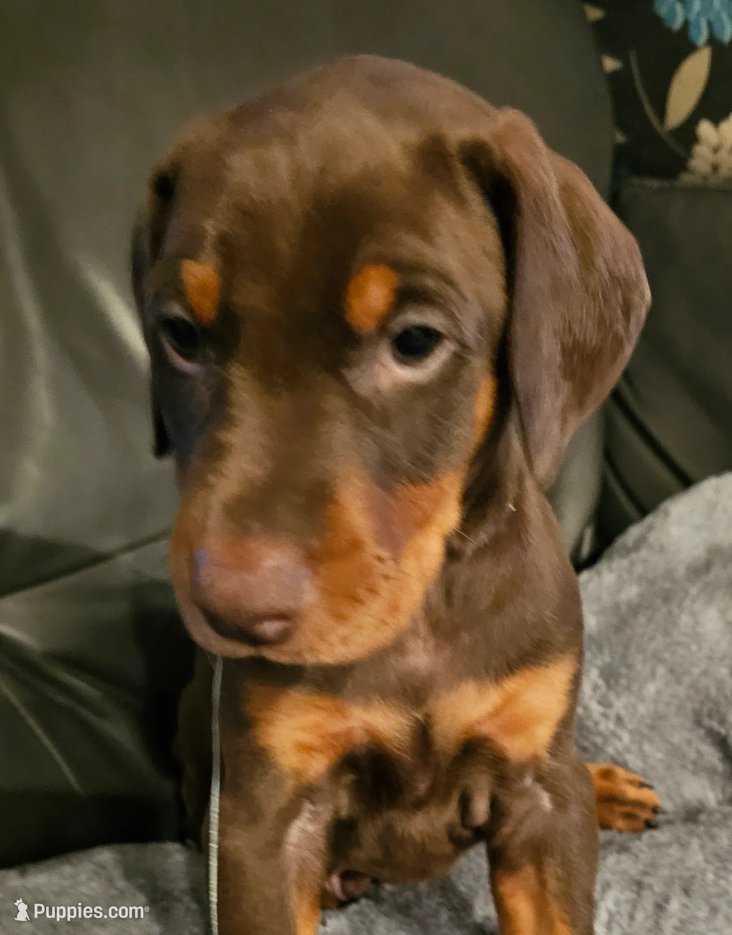 processed/0332c048-4dd0-4d29-b816-3d10f8153378/listing/3d32be2b-ee07-4605-8ed7-d24820d13aa1/7dbb5064-c3ac-40f0-8972-76e3e7b2abd0