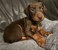 processed/0332c048-4dd0-4d29-b816-3d10f8153378/listing/f0682611-06bf-4615-b241-1669a0d0844f/4f795188-2eb9-4843-a2a0-09acf7171c31