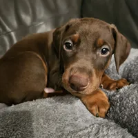 processed/0332c048-4dd0-4d29-b816-3d10f8153378/listing/f0682611-06bf-4615-b241-1669a0d0844f/705e400a-6352-40db-8316-ca3a52ad1f96