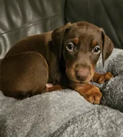 processed/0332c048-4dd0-4d29-b816-3d10f8153378/listing/f0682611-06bf-4615-b241-1669a0d0844f/74960522-6ef8-4afb-986f-74318a148d0c