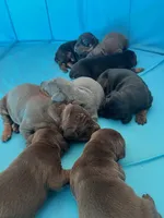 processed/0332c048-4dd0-4d29-b816-3d10f8153378/listing/f0682611-06bf-4615-b241-1669a0d0844f/a75a292b-9456-45e2-bda0-ee199087de5a