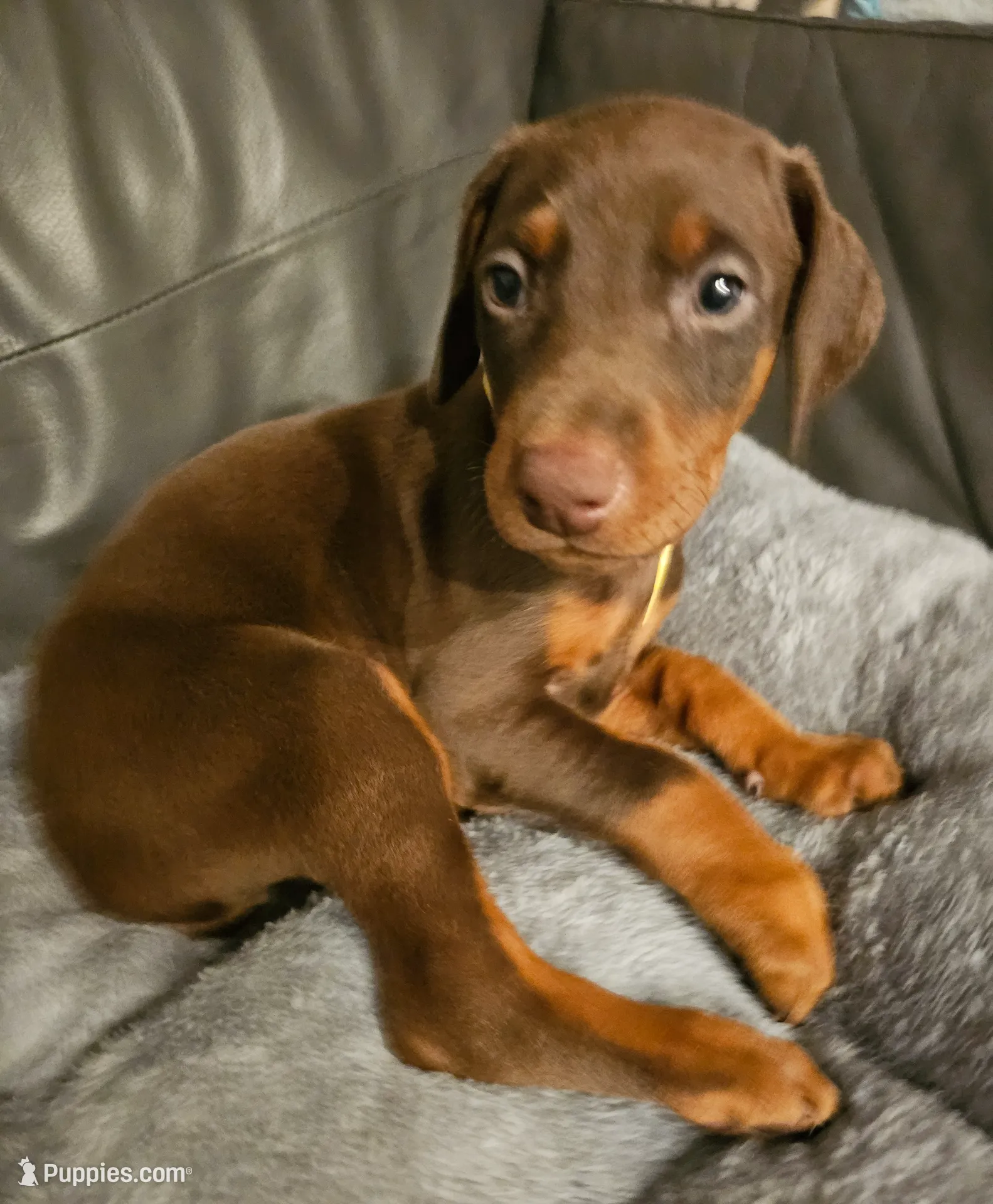 processed/0332c048-4dd0-4d29-b816-3d10f8153378/listing/f0682611-06bf-4615-b241-1669a0d0844f/d2f59a0b-ecbb-46e9-9426-34bfaf292e50