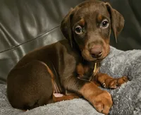 processed/0332c048-4dd0-4d29-b816-3d10f8153378/listing/f0682611-06bf-4615-b241-1669a0d0844f/f73bea8d-6e8d-465f-b6d3-9db5fe42d2a1