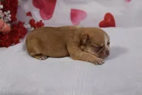 processed/03358647-53f6-42f9-9310-1611acf0b85f/listing/8fa33a07-846b-4832-a559-20652fa079ac/3664eed5-d772-4fe2-8bf4-3c79095088b5